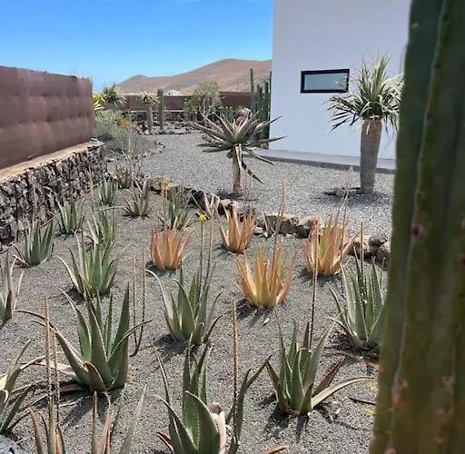 + Piscina Independiente La Oliva