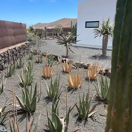 + Piscina Independiente La Oliva